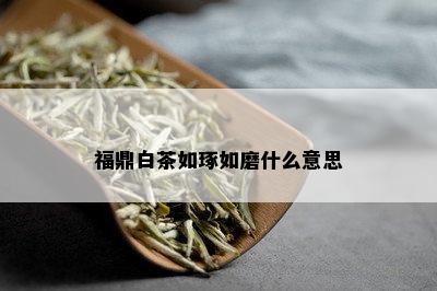 福鼎白茶如琢如磨什么意思