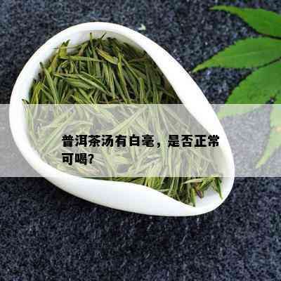 普洱茶汤有白毫，是否正常可喝？