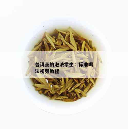 普洱茶的泡法学生：标准喝法视频教程