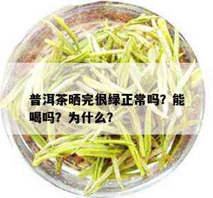 普洱茶晒完很绿正常吗？能喝吗？为什么？