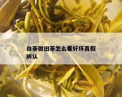 白茶做旧茶怎么看好坏真假辨认