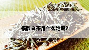 福鼎白茶用什么泡喝？