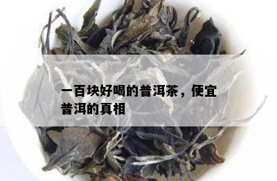 一百块好喝的普洱茶，便宜普洱的真相