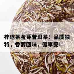 梓晗茶金芽普洱茶：品质独特，香醇回味，健享受！