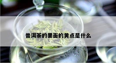 普洱茶的里面的黄点是什么