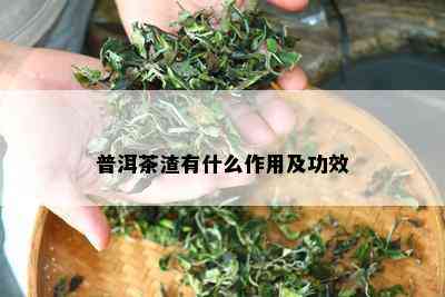 普洱茶渣有什么作用及功效