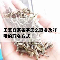 工艺白茶名字怎么取名及好听的取名方式