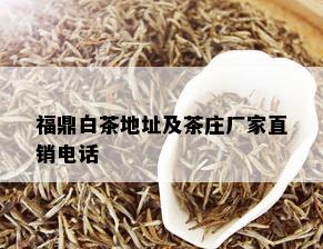 福鼎白茶地址及茶庄厂家直销电话