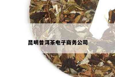 昆明普洱茶电子商务公司