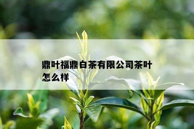 鼎叶福鼎白茶有限公司茶叶怎么样