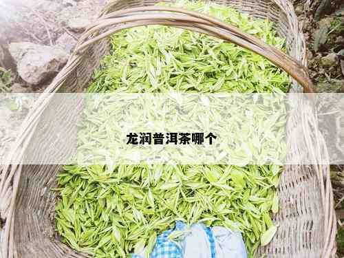 龙润普洱茶哪个