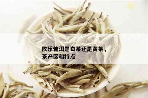 攸乐普洱是白茶还是黄茶，茶产区和特点