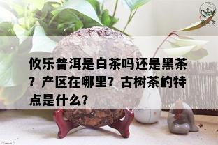 攸乐普洱是白茶吗还是黑茶？产区在哪里？古树茶的特点是什么？