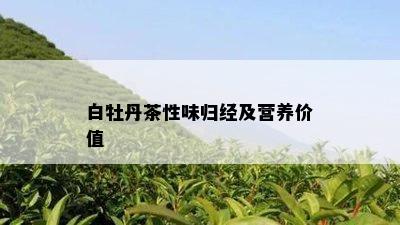 白牡丹茶性味归经及营养价值