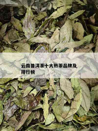 云南普洱茶十大熟茶品牌及排行榜