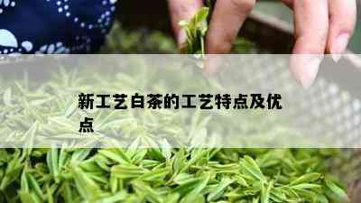 新工艺白茶的工艺特点及优点