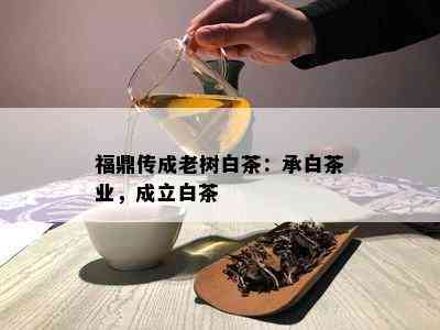 福鼎传成老树白茶：承白茶业，成立白茶