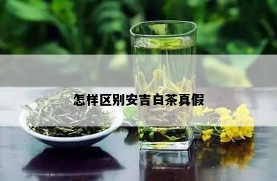 怎样区别安吉白茶真假