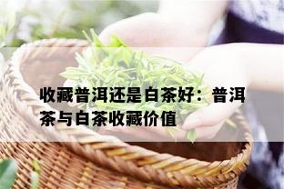 收藏普洱还是白茶好：普洱茶与白茶收藏价值