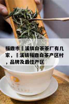 福鼎市磻溪镇白茶茶厂有几家，磻溪镇福鼎白茶产区村，品牌及更佳产区