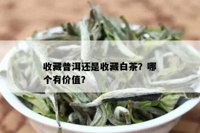 收藏普洱还是收藏白茶？哪个有价值？