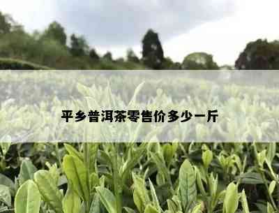 平乡普洱茶零售价多少一斤