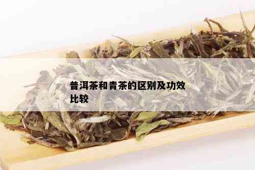 普洱茶和青茶的区别及功效比较