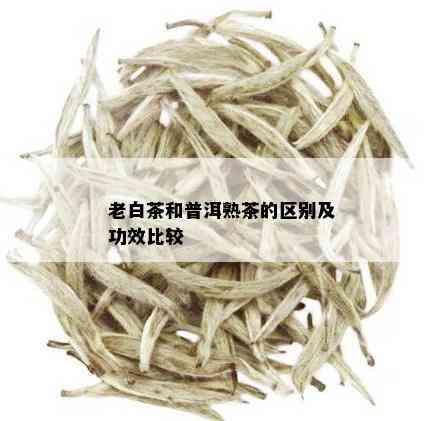 老白茶和普洱熟茶的区别及功效比较