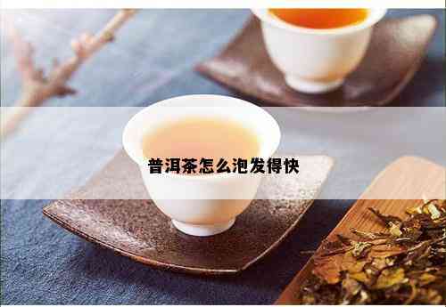 普洱茶怎么泡发得快