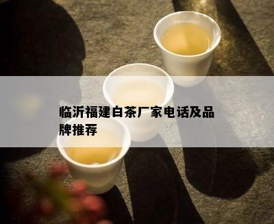 临沂福建白茶厂家电话及品牌推荐