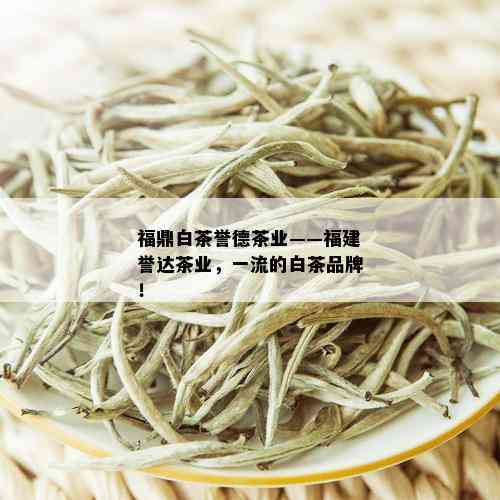 福鼎白茶誉德茶业——福建誉达茶业，一流的白茶品牌！