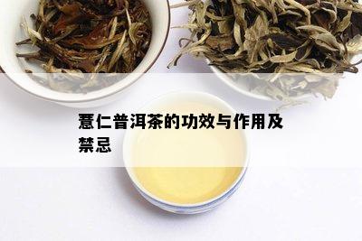 薏仁普洱茶的功效与作用及禁忌