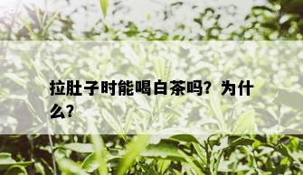 拉肚子时能喝白茶吗？为什么？