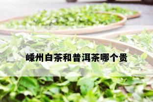 嵊州白茶和普洱茶哪个贵