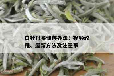 白牡丹茶储存办法：视频教程、最新方法及注意事