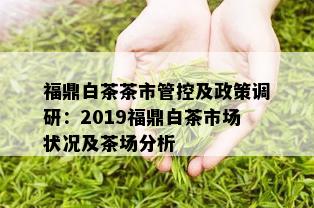 福鼎白茶茶市管控及政策调研：2019福鼎白茶市场状况及茶场分析