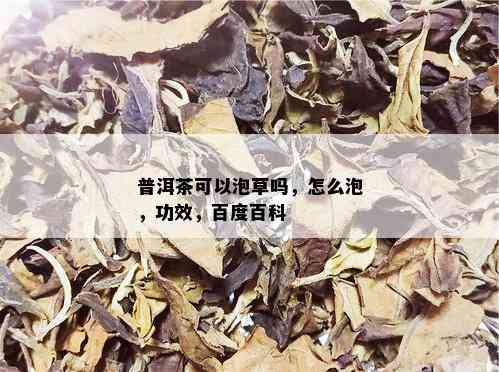 普洱茶可以泡草吗，怎么泡，功效，百度百科