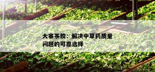 大寨茶胶：解决中草质量问题的可靠选择