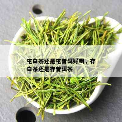 屯白茶还是屯普洱好喝，存白茶还是存普洱茶