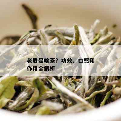 老眉是啥茶？功效、口感和作用全解析