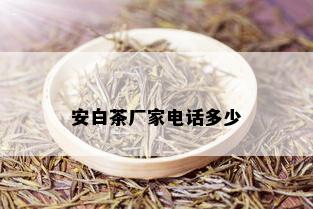 安白茶厂家电话多少