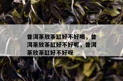 普洱茶放茶缸好不好喝，普洱茶放茶缸好不好呢，普洱茶放茶缸好不好呀