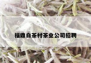 福鼎白茶村茶业公司招聘