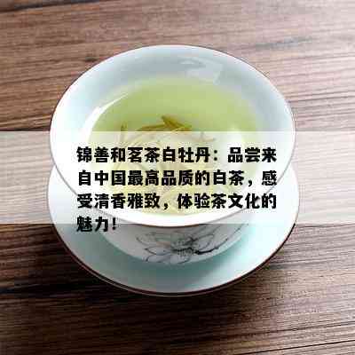 锦善和茗茶白牡丹：品尝来自中国更高品质的白茶，感受清香雅致，体验茶文化的魅力！