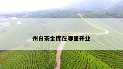 州白茶金库在哪里开业