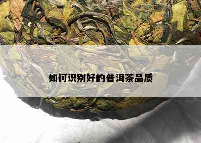 如何识别好的普洱茶品质