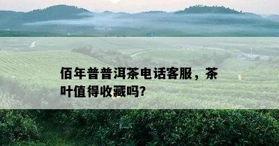 佰年普普洱茶电话客服，茶叶值得收藏吗？