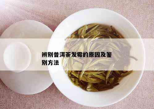 辨别普洱茶发霉的原因及鉴别方法