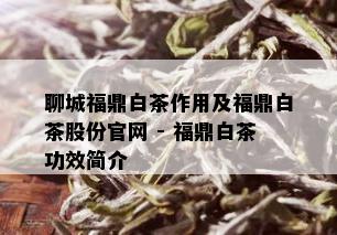 聊城福鼎白茶作用及福鼎白茶股份官网 - 福鼎白茶功效简介