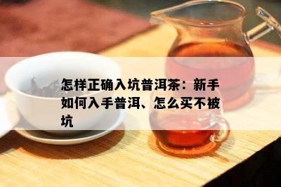 怎样正确入坑普洱茶：新手如何入手普洱、怎么买不被坑